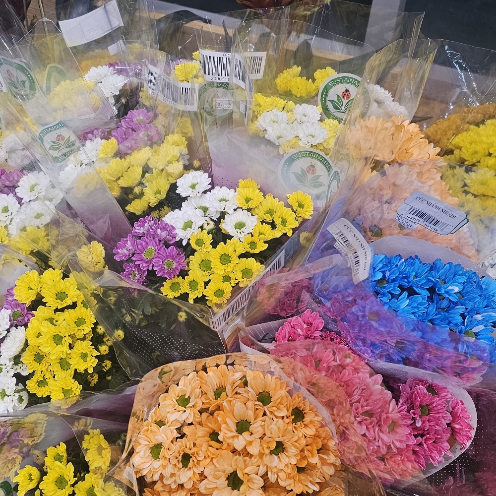 Lê Anh Pháp & Vũ Thị Thu Hiền